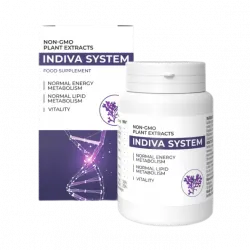 Indiva System Low Price